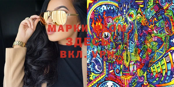 сатива Сатка