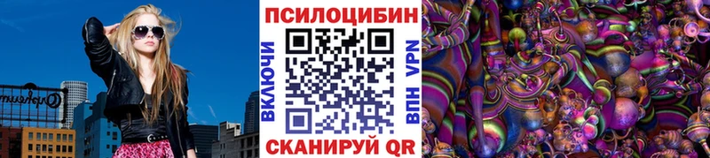 как найти закладки  Мезень  Псилоцибиновые грибы Psilocybe 